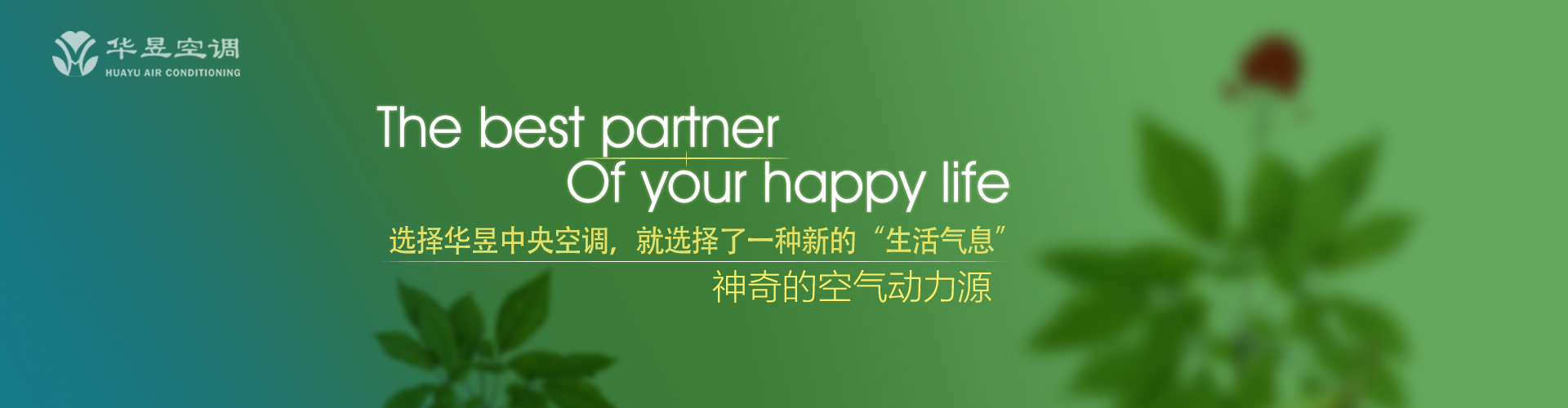 顾小失大网
